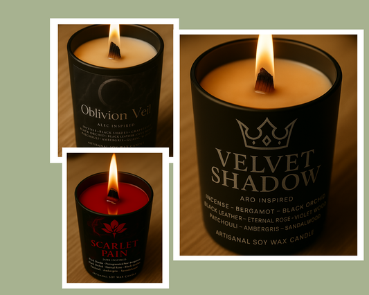 Pack Collector "Volturi Coven" - Livraison